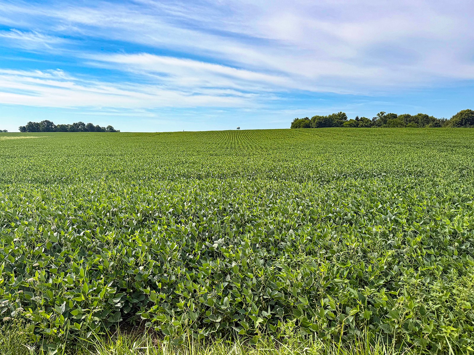 Property photo 7 - FARMLAND AUCTION - 30+/-ACRES OFFERED IN 2 TRACTS IN WHITLEY COUNTY, INDIANA