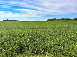 Property photo 7 - FARMLAND AUCTION - 30+/-ACRES OFFERED IN 2 TRACTS IN WHITLEY COUNTY, INDIANA