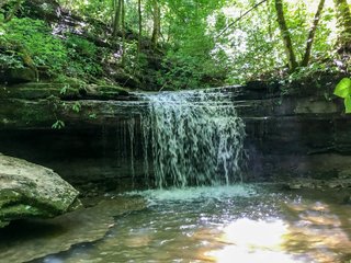 Property photo 27 - HOME AND LAND AUCTION - 112.3+/-ACRES OFFERED IN 1 TRACT IN MERCER COUNTY, KENTUCKY