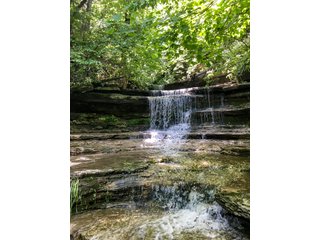 Property photo 28 - HOME AND LAND AUCTION - 112.3+/-ACRES OFFERED IN 1 TRACT IN MERCER COUNTY, KENTUCKY