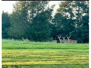 Property photo 24 - HOME AND LAND AUCTION - 112.3+/-ACRES OFFERED IN 1 TRACT IN MERCER COUNTY, KENTUCKY