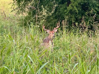 Property photo 30 - HOME AND LAND AUCTION - 112.3+/-ACRES OFFERED IN 1 TRACT IN MERCER COUNTY, KENTUCKY