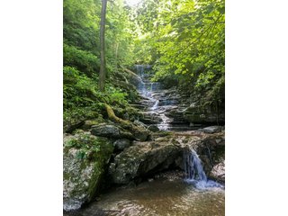 Property photo 29 - HOME AND LAND AUCTION - 112.3+/-ACRES OFFERED IN 1 TRACT IN MERCER COUNTY, KENTUCKY