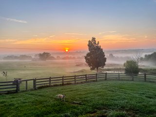 Property photo 1 - HOME AND LAND AUCTION - 112.3+/-ACRES OFFERED IN 1 TRACT IN MERCER COUNTY, KENTUCKY
