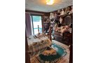 Property photo 41 - REAL ESTATE AUCTION - 5.214+/-ACRES OFFERED IN 1 TRACT IN ELKHART COUNTY, INDIANA