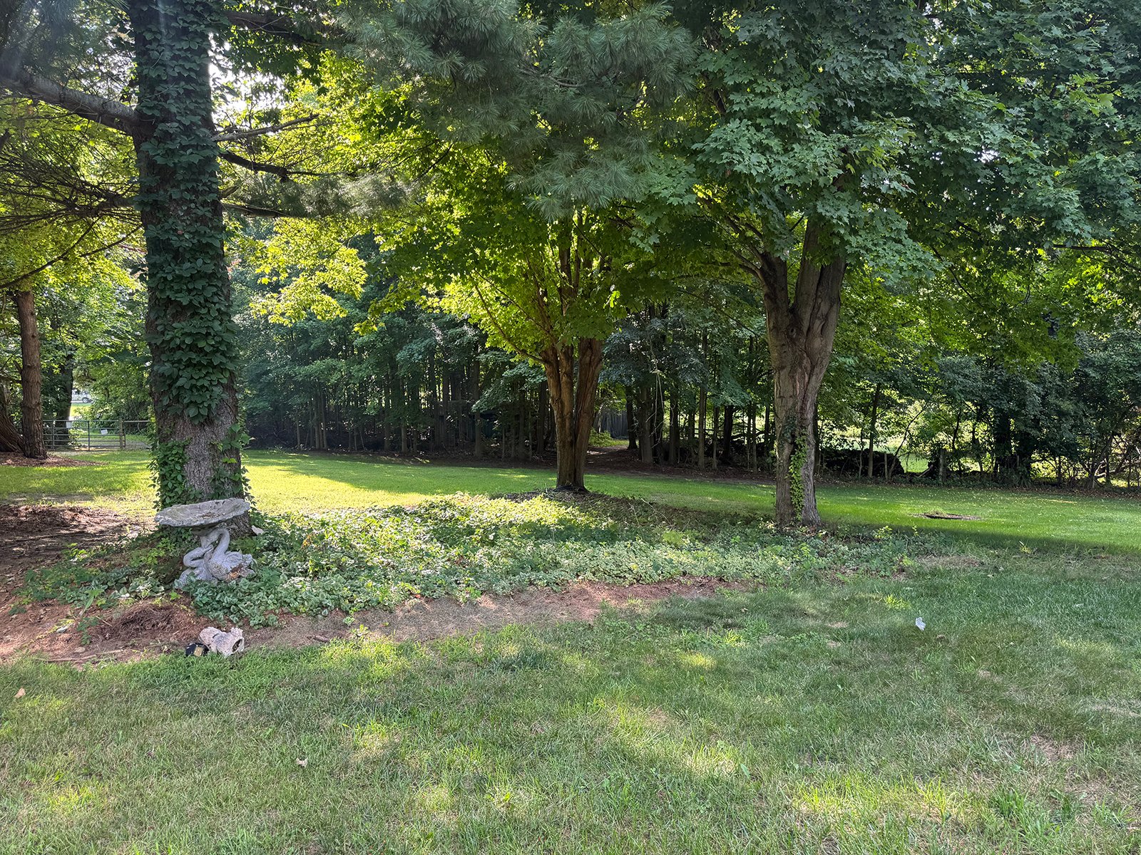 Property photo 23 - REAL ESTATE AUCTION - 5.214+/-ACRES OFFERED IN 1 TRACT IN ELKHART COUNTY, INDIANA