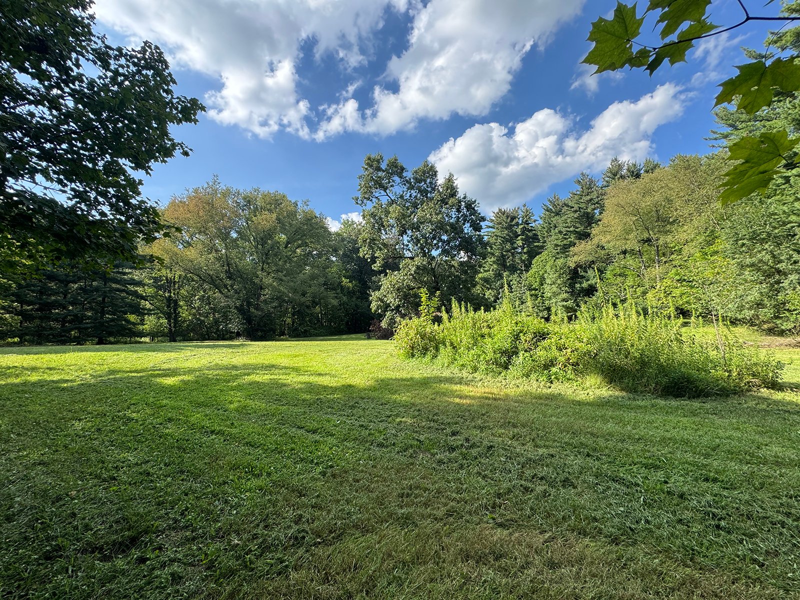 Property photo 24 - REAL ESTATE AUCTION - 5.214+/-ACRES OFFERED IN 1 TRACT IN ELKHART COUNTY, INDIANA