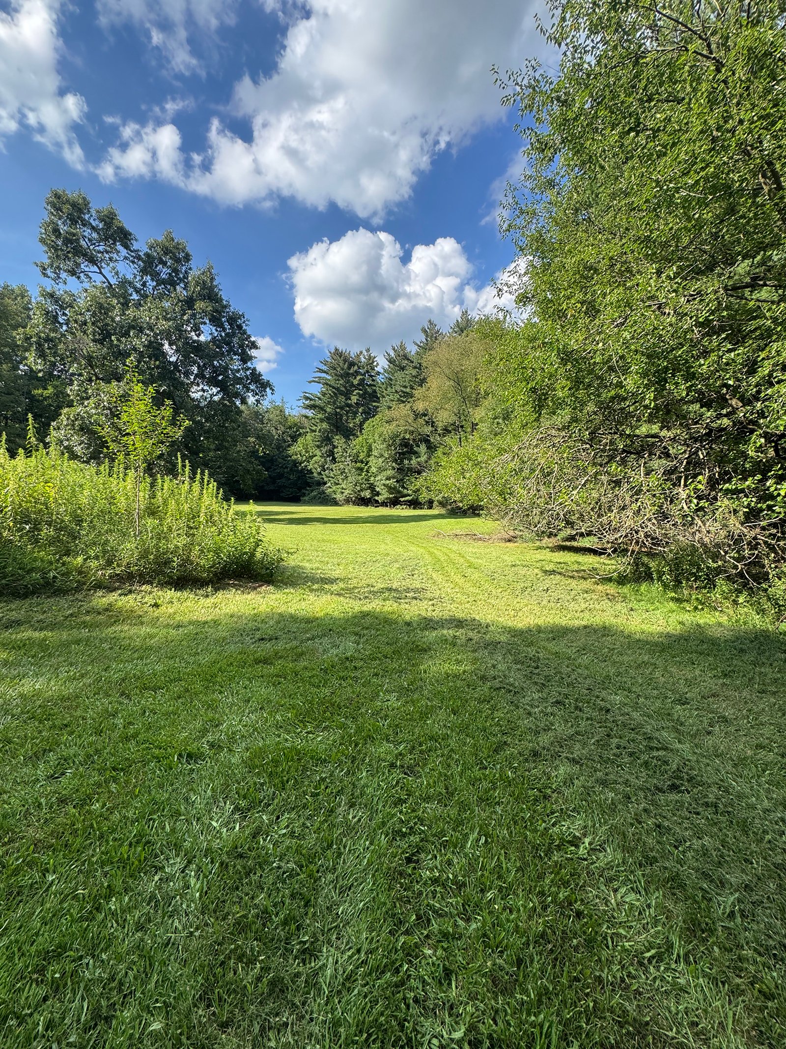 Property photo 25 - REAL ESTATE AUCTION - 5.214+/-ACRES OFFERED IN 1 TRACT IN ELKHART COUNTY, INDIANA