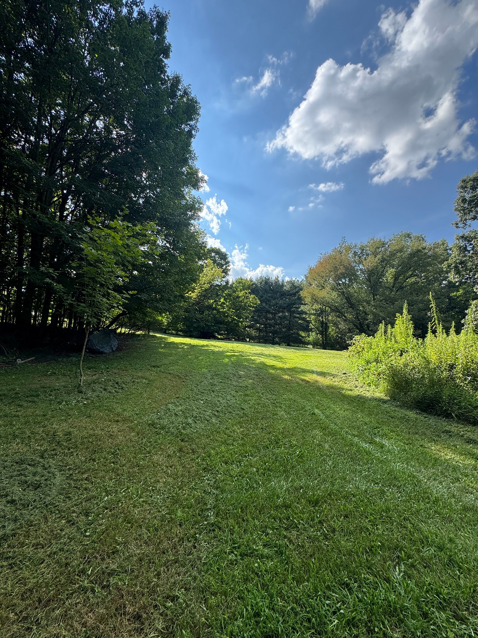 Property photo 26 - REAL ESTATE AUCTION - 5.214+/-ACRES OFFERED IN 1 TRACT IN ELKHART COUNTY, INDIANA