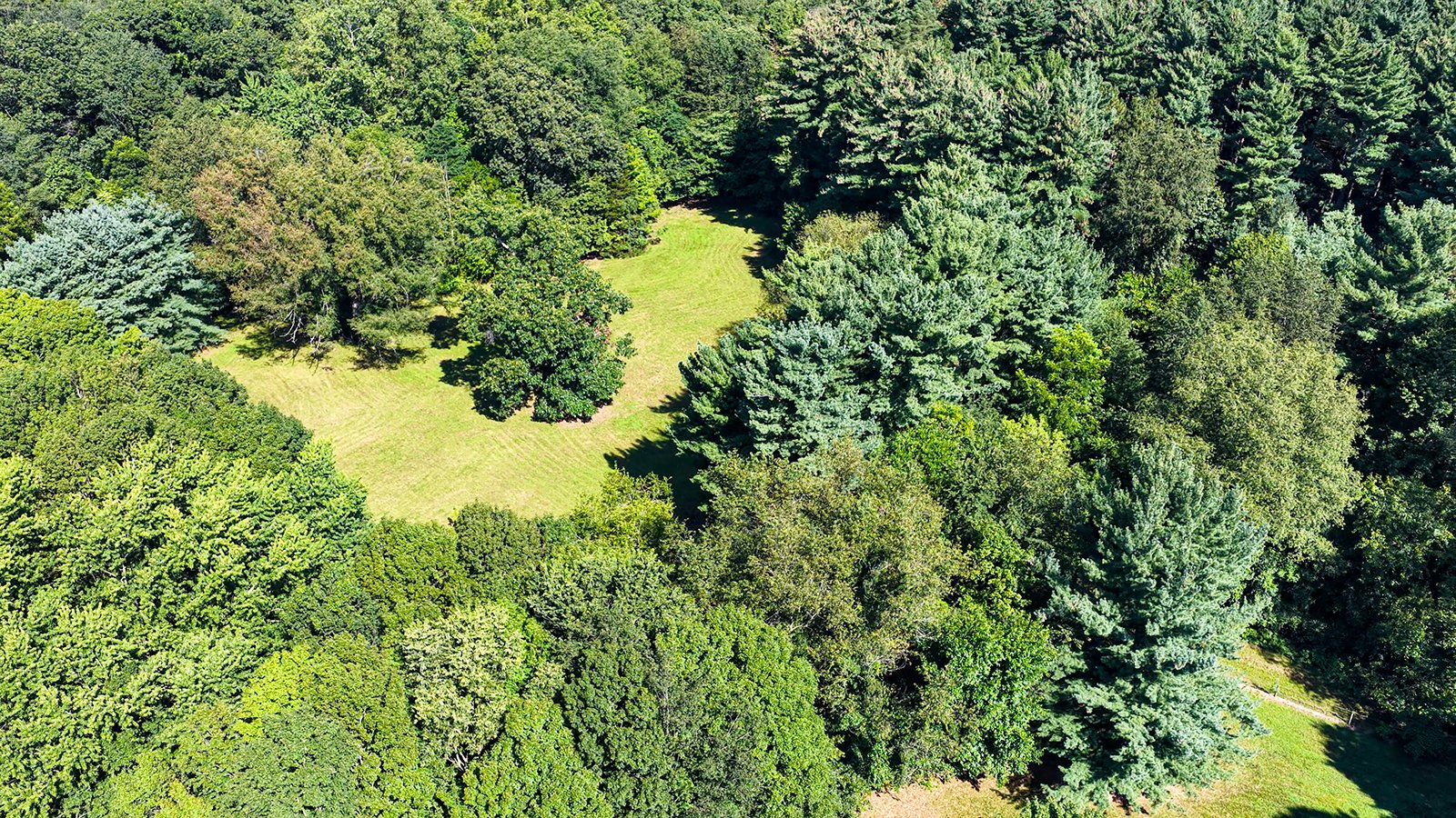 Property photo 3 - REAL ESTATE AUCTION - 5.214+/-ACRES OFFERED IN 1 TRACT IN ELKHART COUNTY, INDIANA