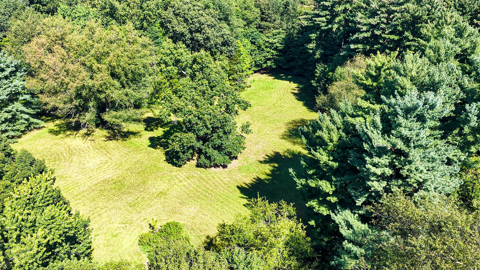 Property photo 4 - REAL ESTATE AUCTION - 5.214+/-ACRES OFFERED IN 1 TRACT IN ELKHART COUNTY, INDIANA