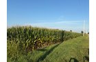 Property photo 33 - FARMLAND AUCTION - 95.9+/-ACRES OFFERED IN 5 TRACTS IN ALLEN COUNTY, INDIANA