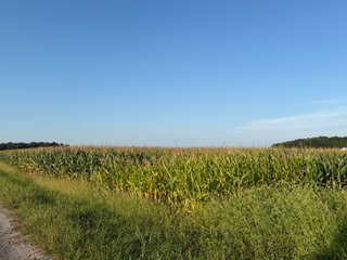 Property photo 32 - FARMLAND AUCTION - 95.9+/-ACRES OFFERED IN 5 TRACTS IN ALLEN COUNTY, INDIANA