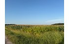 Property photo 32 - FARMLAND AUCTION - 95.9+/-ACRES OFFERED IN 5 TRACTS IN ALLEN COUNTY, INDIANA