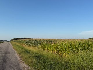 Property photo 31 - FARMLAND AUCTION - 95.9+/-ACRES OFFERED IN 5 TRACTS IN ALLEN COUNTY, INDIANA