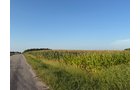 Property photo 31 - FARMLAND AUCTION - 95.9+/-ACRES OFFERED IN 5 TRACTS IN ALLEN COUNTY, INDIANA