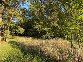 Property photo 26 - FARMLAND AUCTION - 95.9+/-ACRES OFFERED IN 5 TRACTS IN ALLEN COUNTY, INDIANA