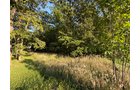 Property photo 26 - FARMLAND AUCTION - 95.9+/-ACRES OFFERED IN 5 TRACTS IN ALLEN COUNTY, INDIANA
