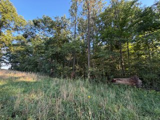 Property photo 25 - FARMLAND AUCTION - 95.9+/-ACRES OFFERED IN 5 TRACTS IN ALLEN COUNTY, INDIANA