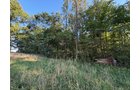 Property photo 25 - FARMLAND AUCTION - 95.9+/-ACRES OFFERED IN 5 TRACTS IN ALLEN COUNTY, INDIANA