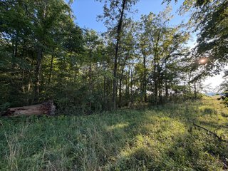 Property photo 21 - FARMLAND AUCTION - 95.9+/-ACRES OFFERED IN 5 TRACTS IN ALLEN COUNTY, INDIANA