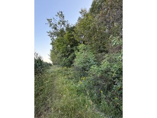 Property photo 20 - FARMLAND AUCTION - 95.9+/-ACRES OFFERED IN 5 TRACTS IN ALLEN COUNTY, INDIANA