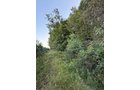 Property photo 20 - FARMLAND AUCTION - 95.9+/-ACRES OFFERED IN 5 TRACTS IN ALLEN COUNTY, INDIANA