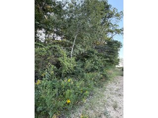 Property photo 19 - FARMLAND AUCTION - 95.9+/-ACRES OFFERED IN 5 TRACTS IN ALLEN COUNTY, INDIANA
