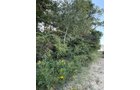 Property photo 19 - FARMLAND AUCTION - 95.9+/-ACRES OFFERED IN 5 TRACTS IN ALLEN COUNTY, INDIANA