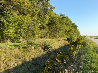 Property photo 24 - FARMLAND AUCTION - 95.9+/-ACRES OFFERED IN 5 TRACTS IN ALLEN COUNTY, INDIANA