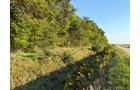 Property photo 24 - FARMLAND AUCTION - 95.9+/-ACRES OFFERED IN 5 TRACTS IN ALLEN COUNTY, INDIANA