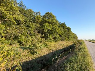 Property photo 23 - FARMLAND AUCTION - 95.9+/-ACRES OFFERED IN 5 TRACTS IN ALLEN COUNTY, INDIANA