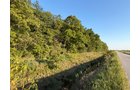 Property photo 23 - FARMLAND AUCTION - 95.9+/-ACRES OFFERED IN 5 TRACTS IN ALLEN COUNTY, INDIANA