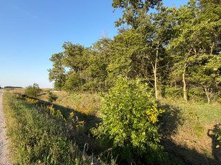 Property photo 22 - FARMLAND AUCTION - 95.9+/-ACRES OFFERED IN 5 TRACTS IN ALLEN COUNTY, INDIANA