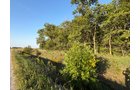 Property photo 22 - FARMLAND AUCTION - 95.9+/-ACRES OFFERED IN 5 TRACTS IN ALLEN COUNTY, INDIANA
