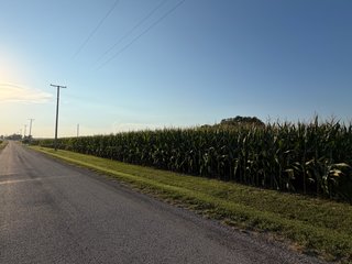 Property photo 30 - FARMLAND AUCTION - 95.9+/-ACRES OFFERED IN 5 TRACTS IN ALLEN COUNTY, INDIANA