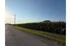 Property photo 30 - FARMLAND AUCTION - 95.9+/-ACRES OFFERED IN 5 TRACTS IN ALLEN COUNTY, INDIANA