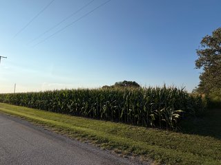 Property photo 29 - FARMLAND AUCTION - 95.9+/-ACRES OFFERED IN 5 TRACTS IN ALLEN COUNTY, INDIANA