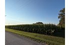 Property photo 29 - FARMLAND AUCTION - 95.9+/-ACRES OFFERED IN 5 TRACTS IN ALLEN COUNTY, INDIANA