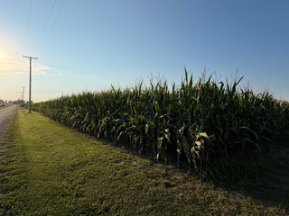 Property photo 28 - FARMLAND AUCTION - 95.9+/-ACRES OFFERED IN 5 TRACTS IN ALLEN COUNTY, INDIANA