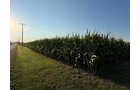 Property photo 28 - FARMLAND AUCTION - 95.9+/-ACRES OFFERED IN 5 TRACTS IN ALLEN COUNTY, INDIANA