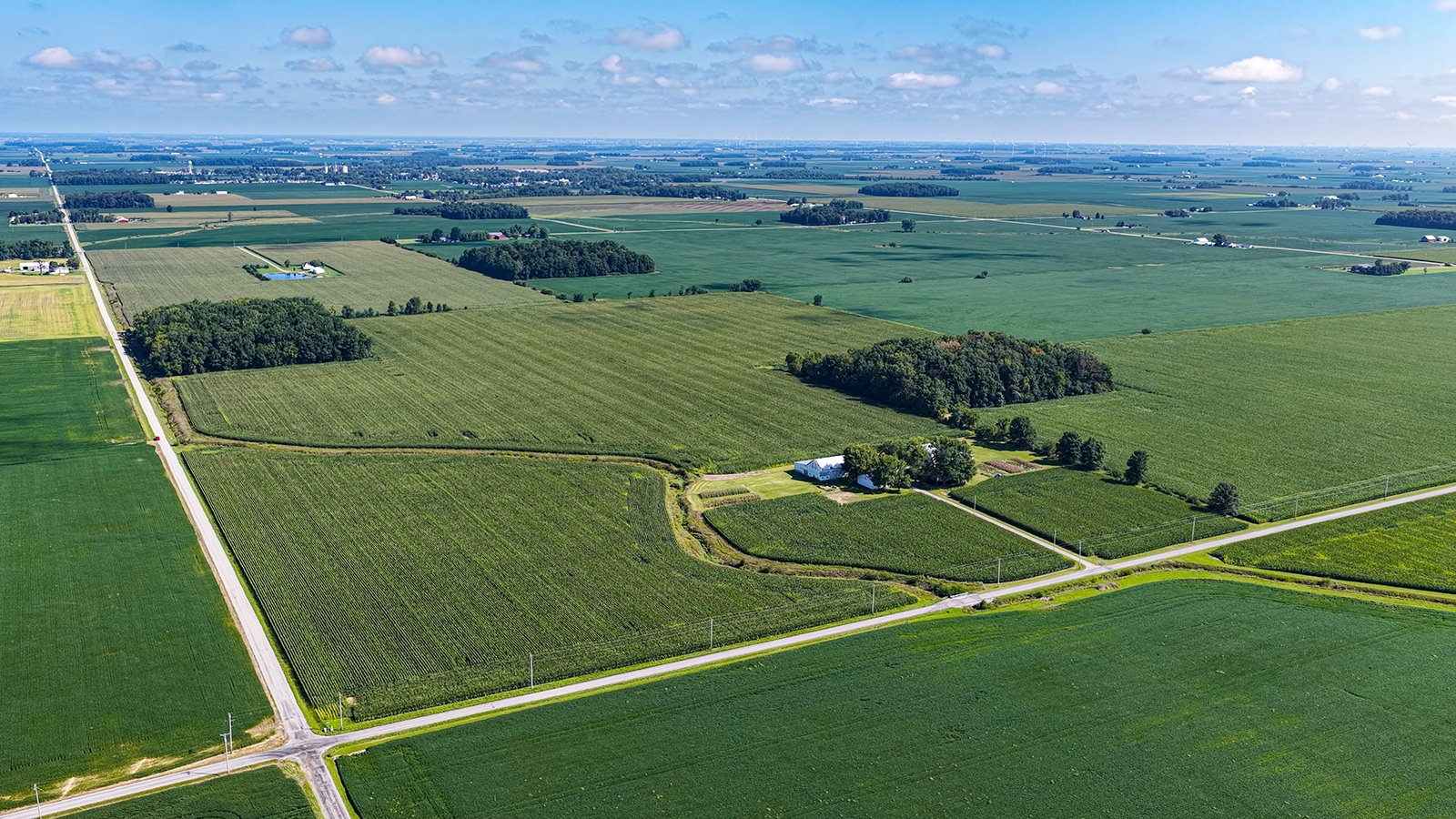 Property photo 4 - FARMLAND AUCTION - 95.9+/-ACRES OFFERED IN 5 TRACTS IN ALLEN COUNTY, INDIANA