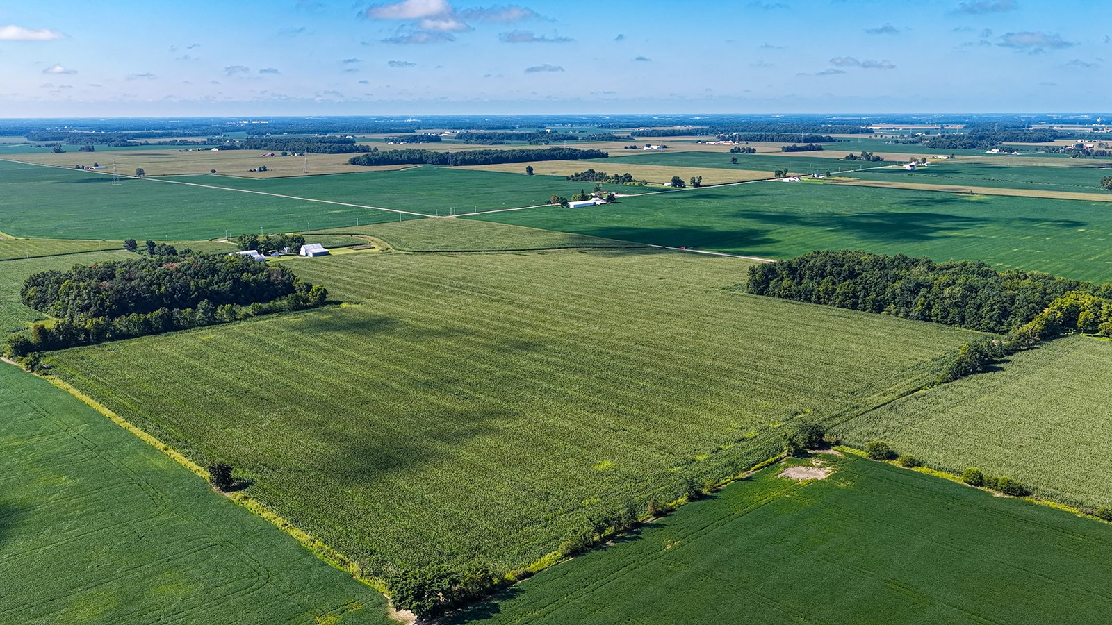 Property photo 5 - FARMLAND AUCTION - 95.9+/-ACRES OFFERED IN 5 TRACTS IN ALLEN COUNTY, INDIANA