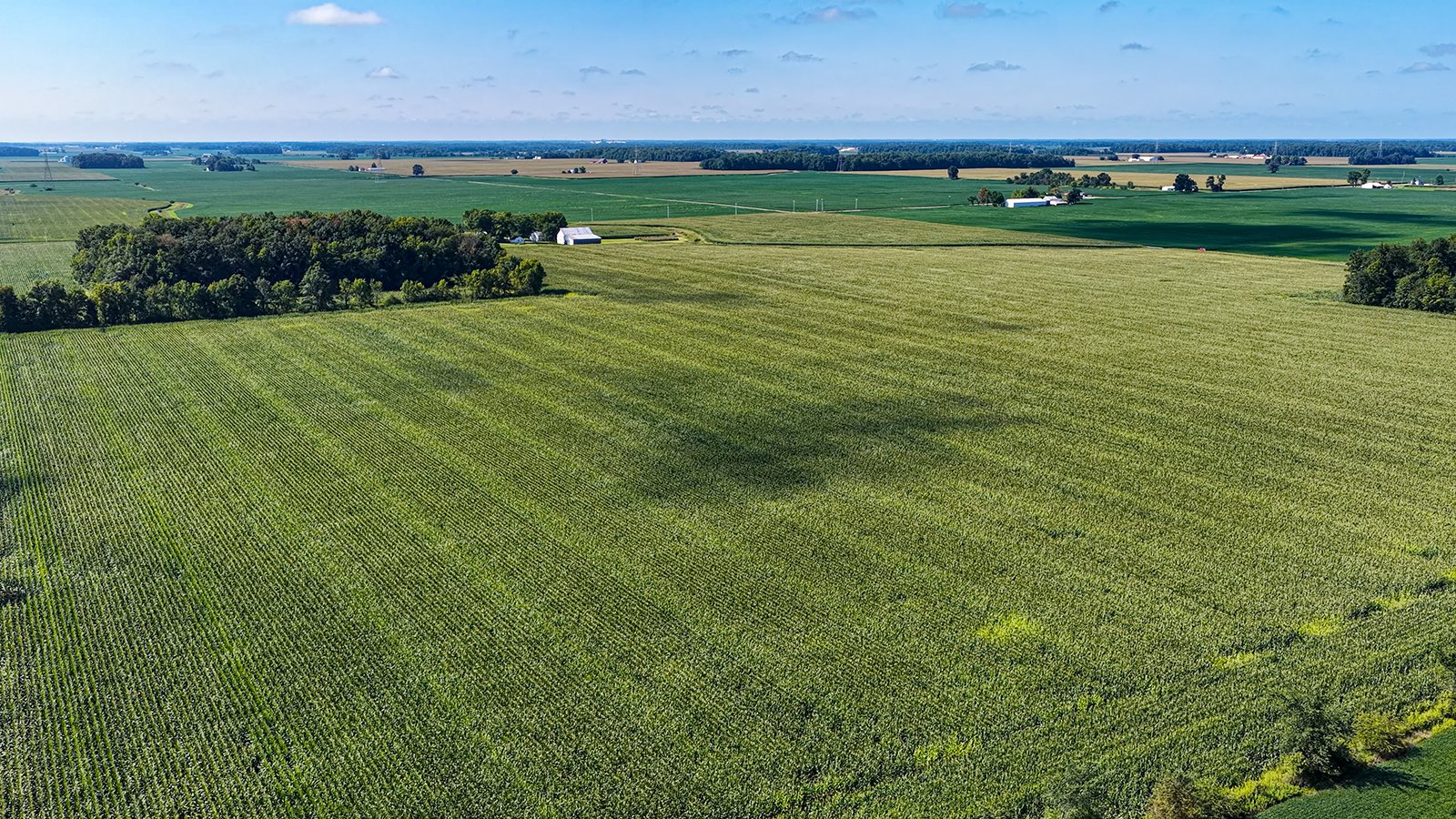 Property photo 6 - FARMLAND AUCTION - 95.9+/-ACRES OFFERED IN 5 TRACTS IN ALLEN COUNTY, INDIANA