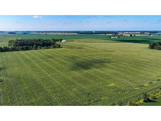 Property photo 6 - FARMLAND AUCTION - 95.9+/-ACRES OFFERED IN 5 TRACTS IN ALLEN COUNTY, INDIANA