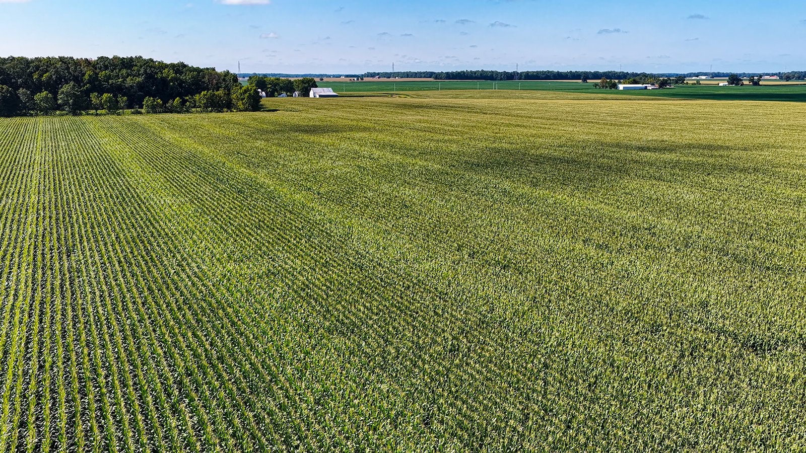 Property photo 2 - FARMLAND AUCTION - 95.9+/-ACRES OFFERED IN 5 TRACTS IN ALLEN COUNTY, INDIANA