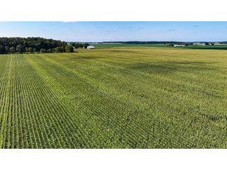 Property photo 2 - FARMLAND AUCTION - 95.9+/-ACRES OFFERED IN 5 TRACTS IN ALLEN COUNTY, INDIANA
