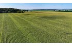 Property photo 2 - FARMLAND AUCTION - 95.9+/-ACRES OFFERED IN 5 TRACTS IN ALLEN COUNTY, INDIANA