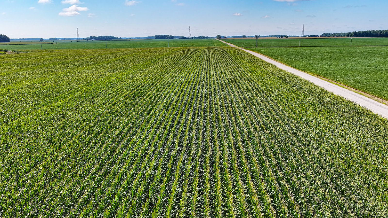 Property photo 7 - FARMLAND AUCTION - 95.9+/-ACRES OFFERED IN 5 TRACTS IN ALLEN COUNTY, INDIANA