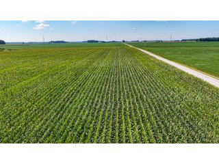 Property photo 7 - FARMLAND AUCTION - 95.9+/-ACRES OFFERED IN 5 TRACTS IN ALLEN COUNTY, INDIANA